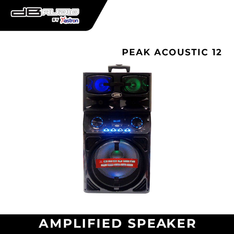 dB Audio Peak Acoustic12 Speaker
