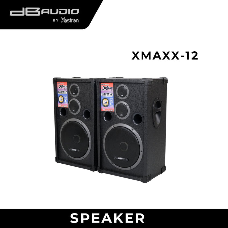 dB Audio XMAXX-12 Speaker