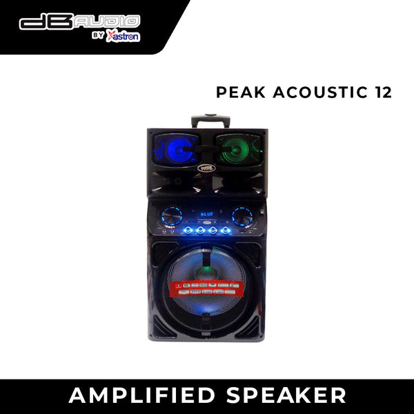 dB Audio Peak Acoustic12 Speaker