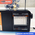 Db Audio Sunblaster Solar Powered AM/FM Radio and LED Lamp (Bluetooth  TF Card) (Emergency Light)