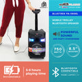 DB Audio by Astron BLUETREK-PA-0898L Portable Mobile Trolley Bluetooth Speaker (750W) (8.5