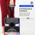 DB Audio by Astron BLUETREK-PA-0898L Portable Mobile Trolley Bluetooth Speaker (750W) (8.5