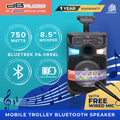 DB Audio by Astron BLUETREK-PA-0898L Portable Mobile Trolley Bluetooth Speaker (750W) (8.5