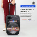 DB Audio by Astron BLUETREKPA1278C Portable Mobile Trolley Speaker - Bluetooth | Rechargeable | Outdoor and Karaoke Use | 12 